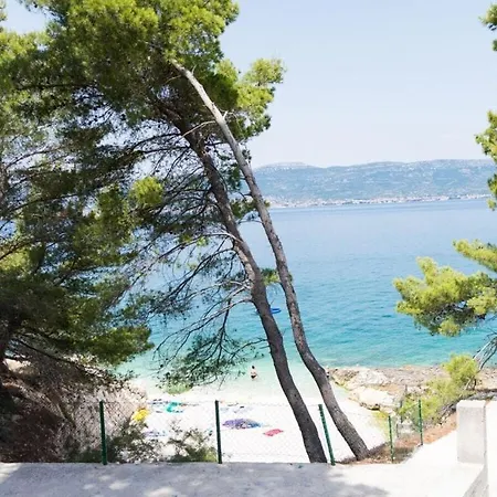 Rosea * Trogir
